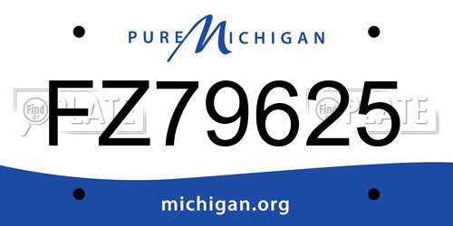 FZ79625 Michigan License Plate