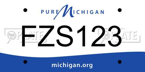 FZS123 Michigan License Plate