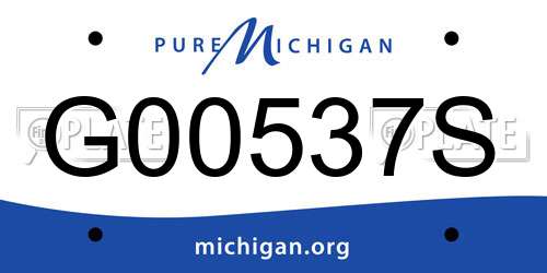 G00537S Michigan License Plate