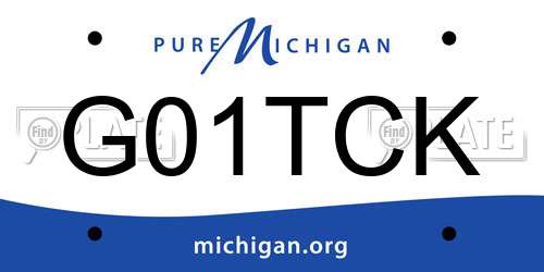 G01TCK Michigan License Plate