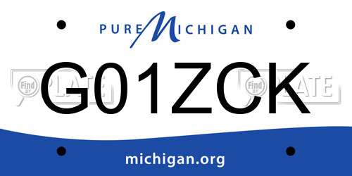 G01ZCK Michigan License Plate