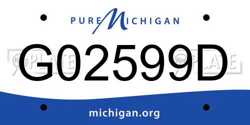 G02599D Michigan License Plate