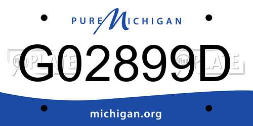G02899D Michigan License Plate