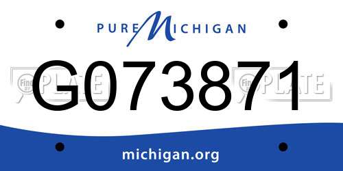 G073871 Michigan License Plate