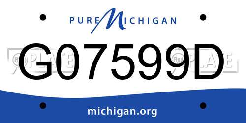 G07599D Michigan License Plate