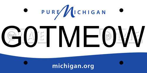 G0TME0W Michigan License Plate