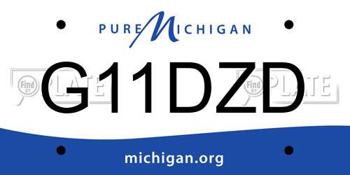 G11DZD Michigan License Plate