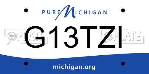 G13TZI Michigan License Plate