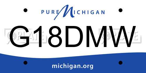 G18DMW Michigan License Plate