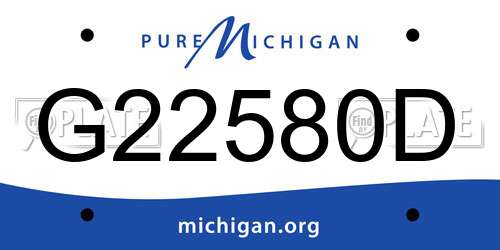 G22580D Michigan License Plate