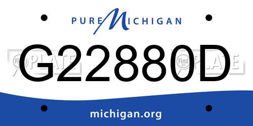 G22880D Michigan License Plate