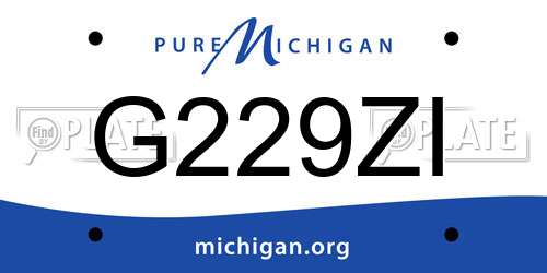 G229ZI Michigan License Plate