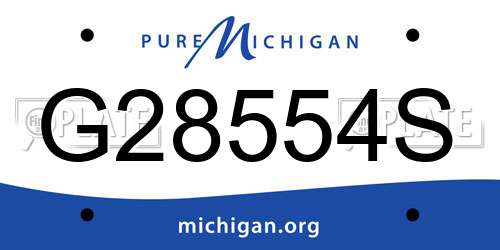 G28554S Michigan License Plate