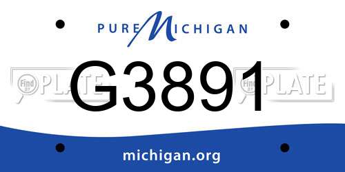 G3891 Michigan License Plate