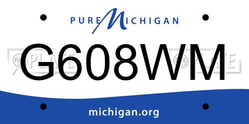 G608WM Michigan License Plate