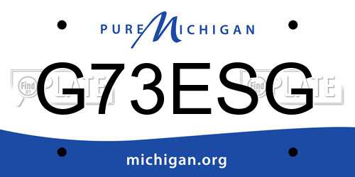 G73ESG Michigan License Plate