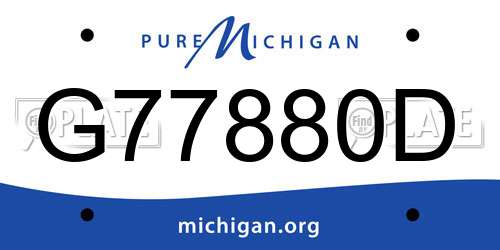G77880D Michigan License Plate