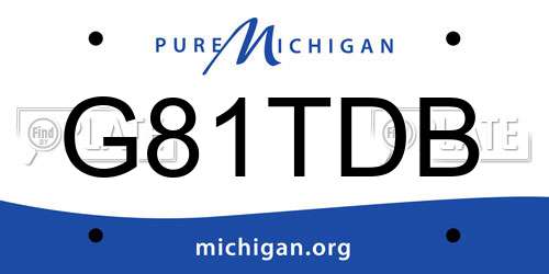G81TDB Michigan License Plate