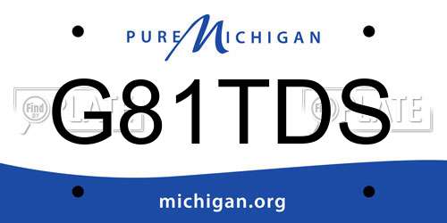 G81TDS Michigan License Plate