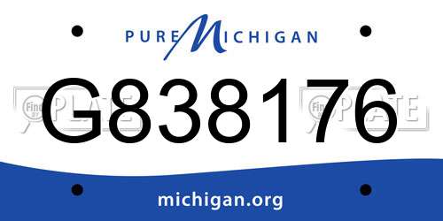 G838176 Michigan License Plate