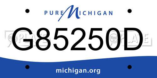 G85250D Michigan License Plate