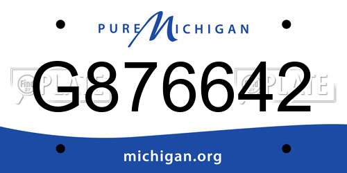 G876642 Michigan License Plate