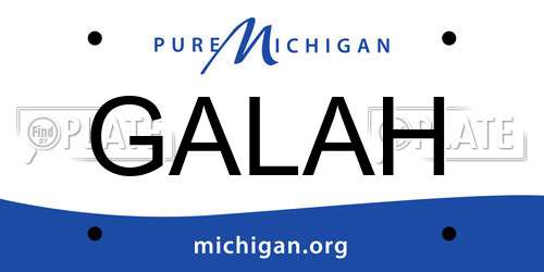 GALAH Michigan License Plate