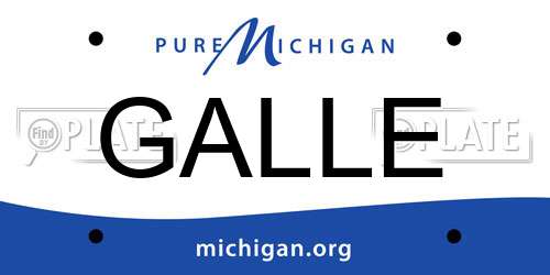 GALLE Michigan License Plate