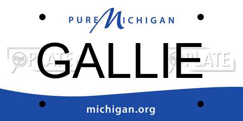 GALLIE Michigan License Plate