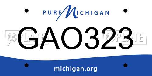 GAO323 Michigan License Plate
