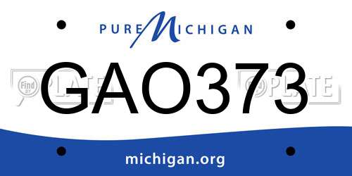 GAO373 Michigan License Plate