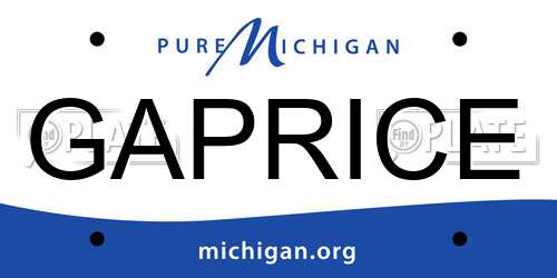 GAPRICE Michigan License Plate