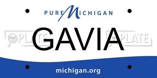 GAVIA Michigan License Plate