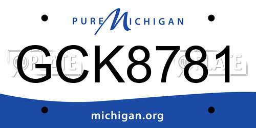 GCK8781 Michigan License Plate