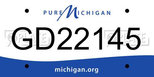 GD22145 Michigan License Plate