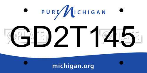 GD2T145 Michigan License Plate
