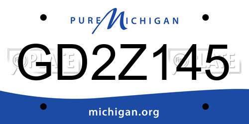 GD2Z145 Michigan License Plate