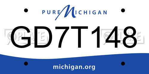 GD7T148 Michigan License Plate