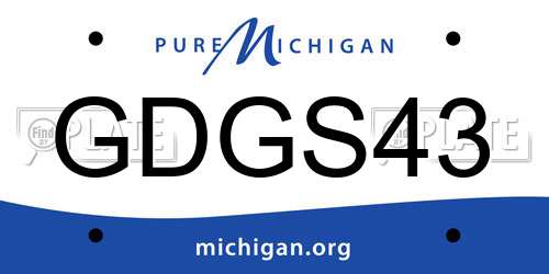 GDGS43 Michigan License Plate