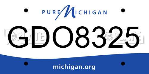 GDO8325 Michigan License Plate