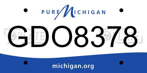 GDO8378 Michigan License Plate