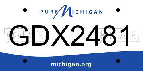 GDX2481 Michigan License Plate