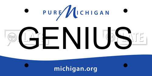 GENIUS Michigan License Plate
