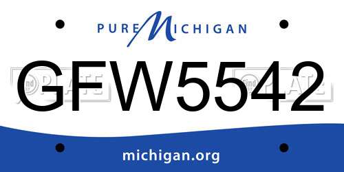 GFW5542 Michigan License Plate