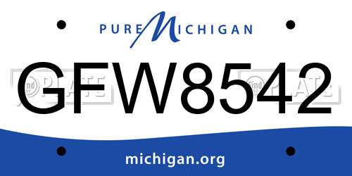 GFW8542 Michigan License Plate