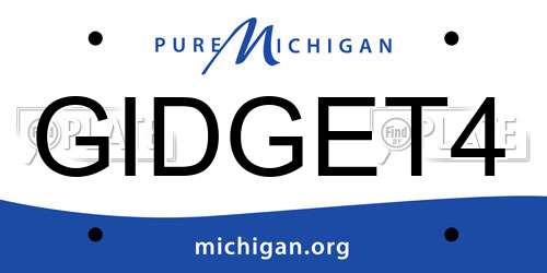 GIDGET4 Michigan License Plate