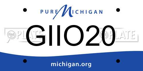 GIIO20 Michigan License Plate