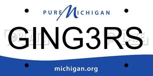 GING3RS Michigan License Plate