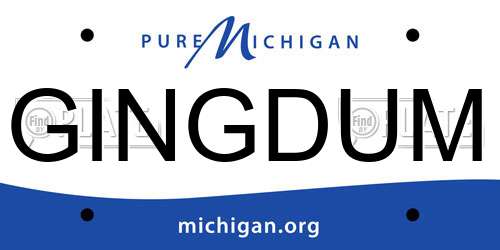 GINGDUM Michigan License Plate
