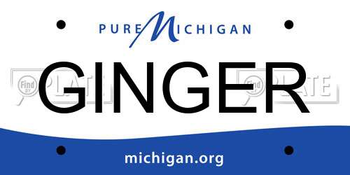 GINGER Michigan License Plate